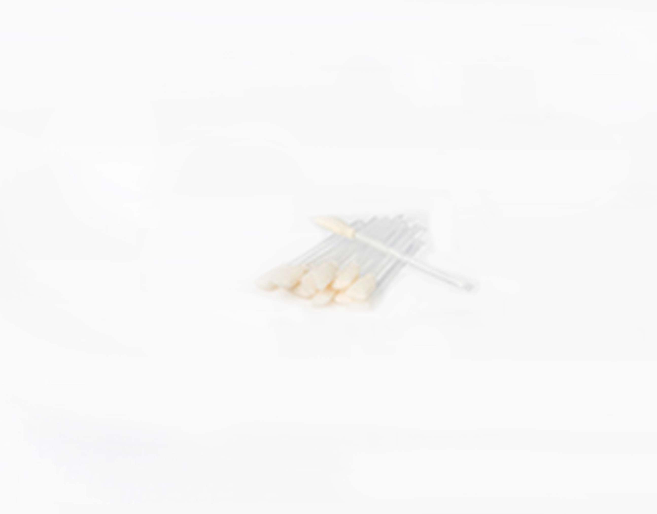 Zebra All Models Cleaning Swab Kit (Box of 24) Zebra All Models Cleaning Swab Kit (Box of 24)