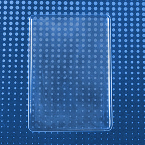 Clear Card Protector - IDenticard.com